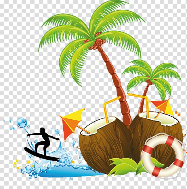 , coconut transparent background PNG clipart | HiClipart