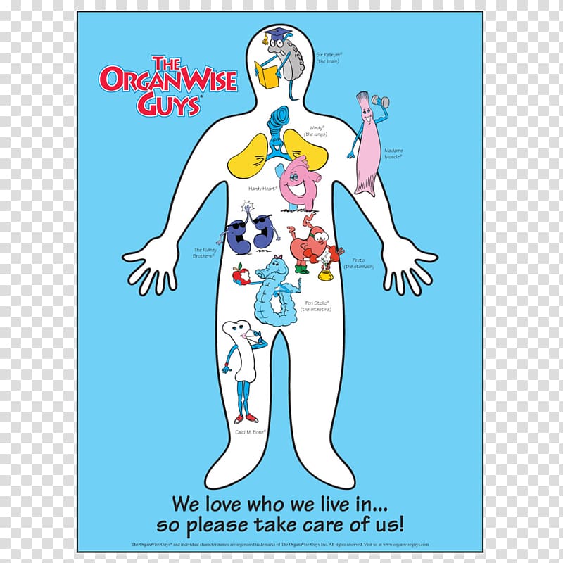 The OrganWise Guys Human body Poster, health transparent background PNG clipart