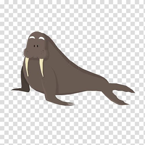 The Beatles I Am the Walrus Chief Operating Officer, walrus transparent background PNG clipart