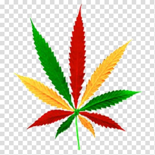 Cannabis sativa Medical cannabis, bob marley weed cake transparent background PNG clipart
