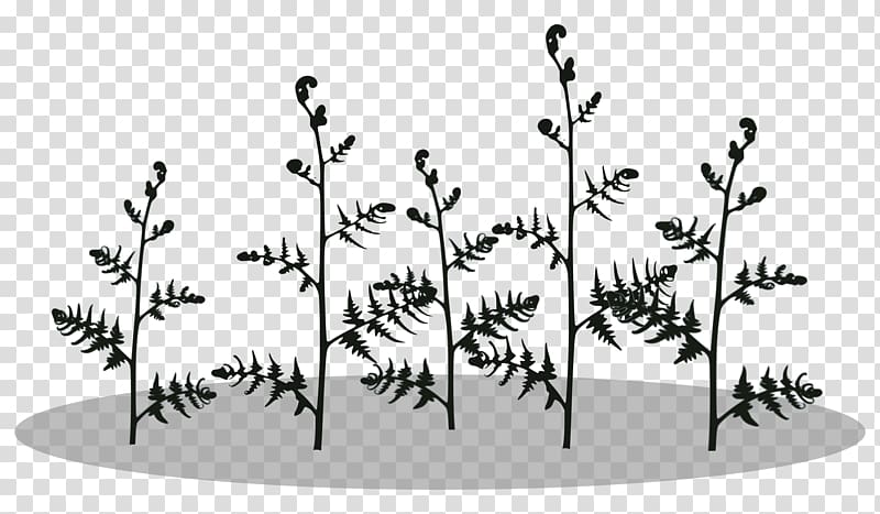 Plant stem Fern Burknar Silhouette Vascular plant, fern transparent background PNG clipart