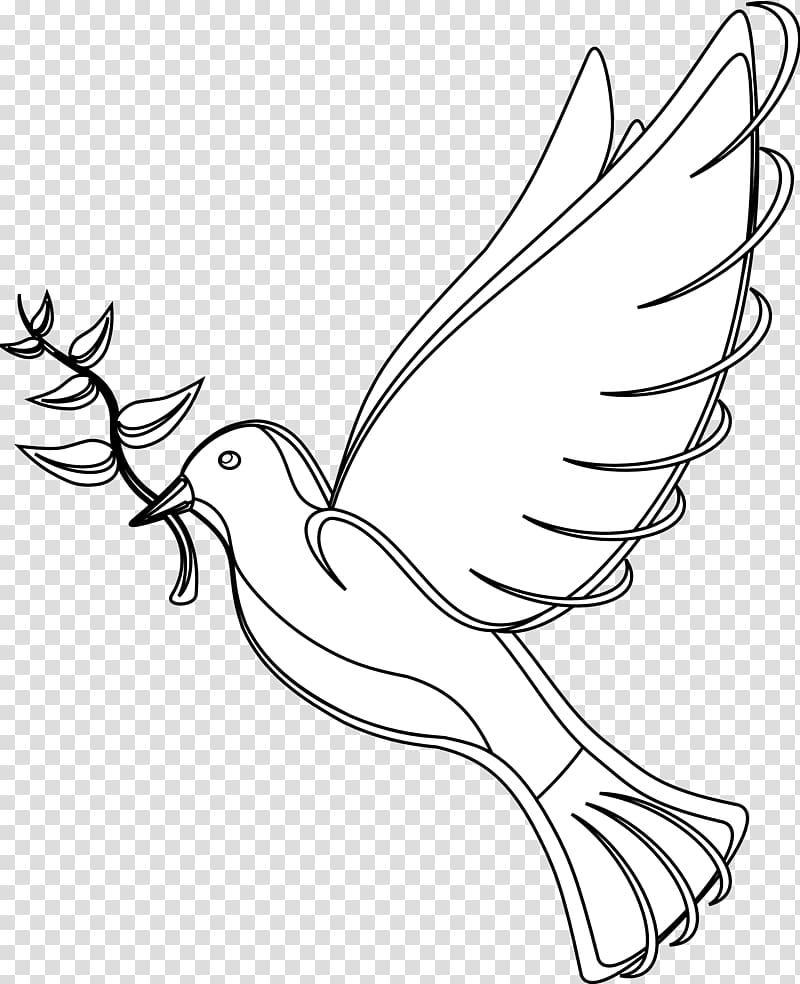 Rock dove School Day of Non-violence and Peace Drawing , others transparent background PNG clipart