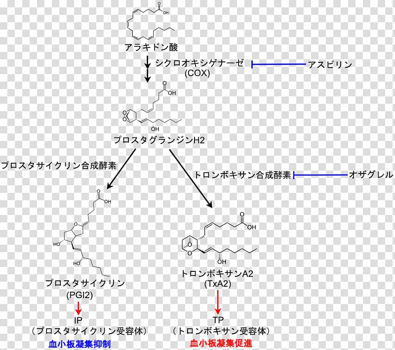 Essential fatty acid interactions Dietary supplement Prostaglandin Thromboxane Arachidonic acid, transparent background PNG clipart