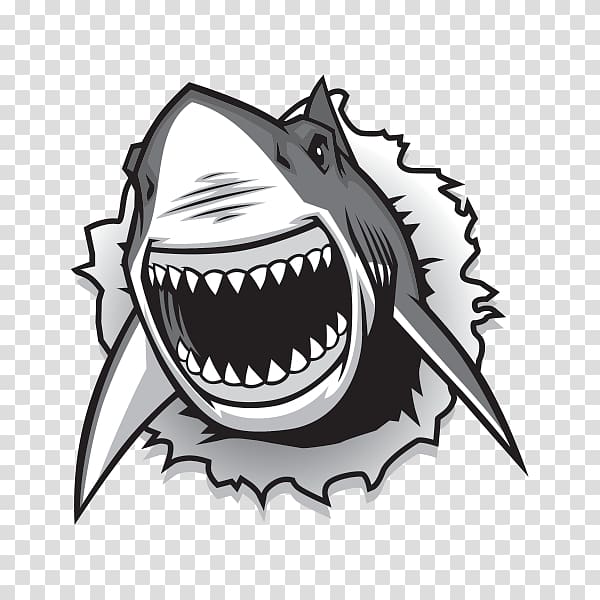 Great white shark Drawing graphics , shark transparent background PNG clipart