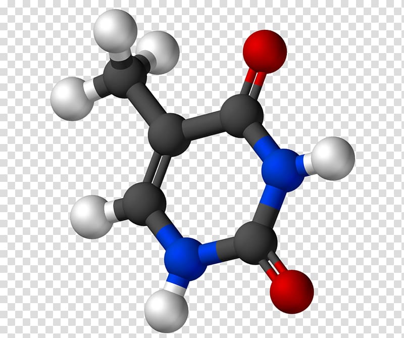 Uracil Adenine Thymine Nucleobase DNA, d transparent background PNG clipart