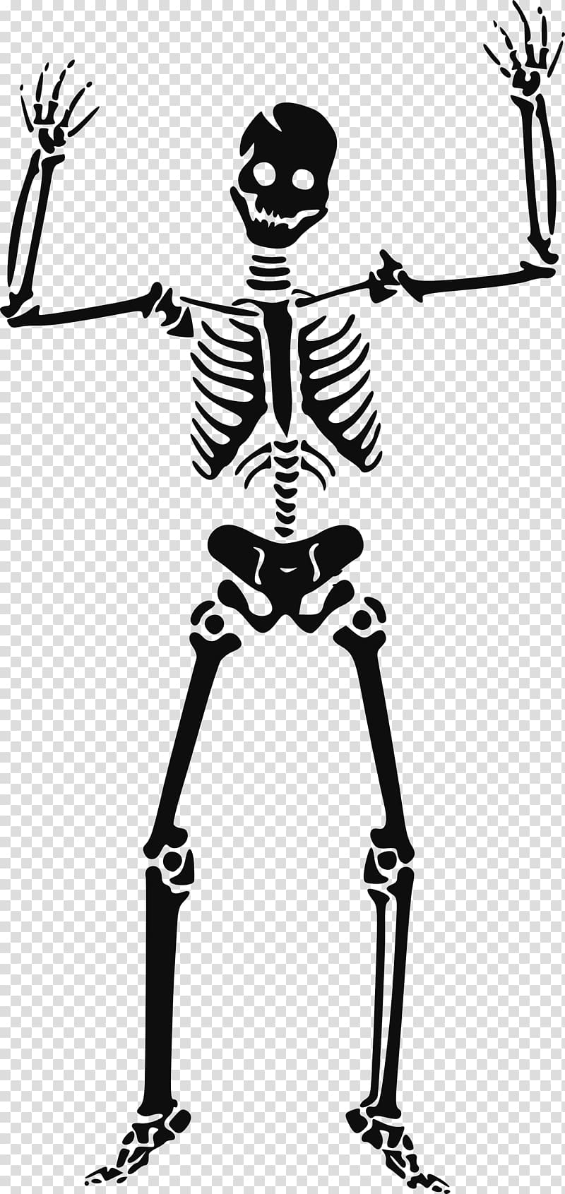 Human skeleton , Skeleton Siluet transparent background PNG clipart