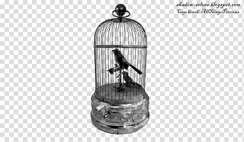 Birdcage Birdcage Music Boxes Automaton, Bird transparent background PNG clipart