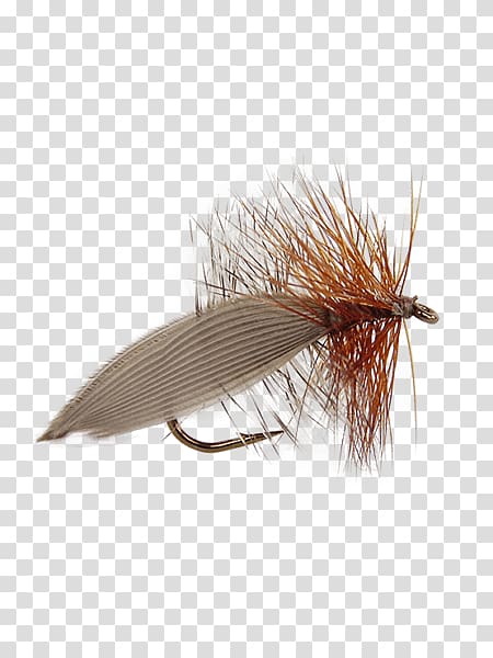 Insect Orvis Henryville Special Fishing Fly Lure Fly fishing Artificial fly, soft hackle flies transparent background PNG clipart