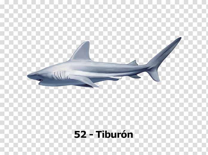 Tiger shark Squaliform sharks Desktop Computer Icons, tiburon transparent background PNG clipart