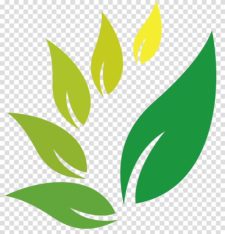 green and yellow leaf art, Herb Jamu Logo Indian Jujube, herbal transparent background PNG clipart