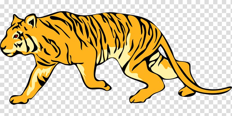 Felidae Bengal tiger White tiger , tigers transparent background PNG clipart