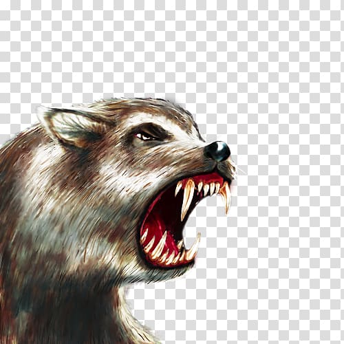 Gray wolf Raccoon Dire wolf The Battle for Wesnoth Snout, raccoon transparent background PNG clipart