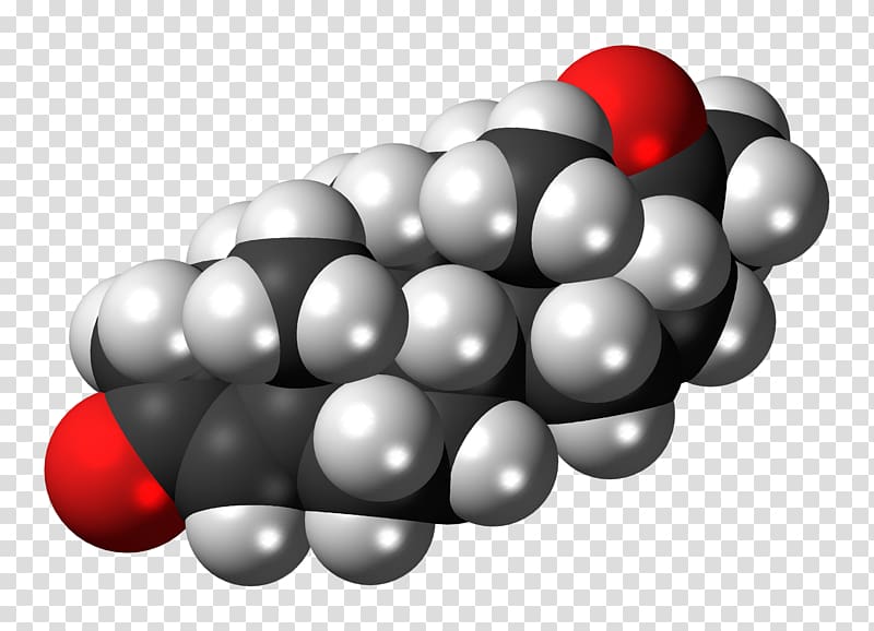 Estradiol Estrogen Space-filling model Steroid Progesterone, molecule transparent background PNG clipart