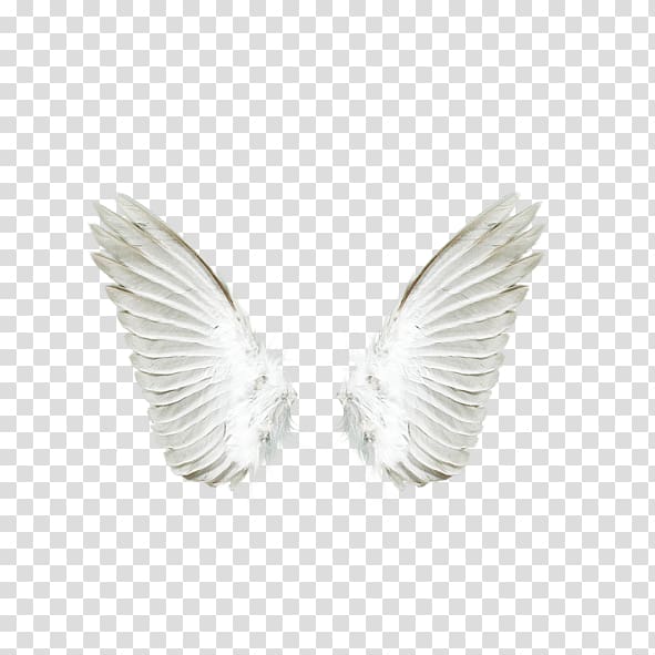 white angel wings, Angel , White angel wings transparent background PNG clipart