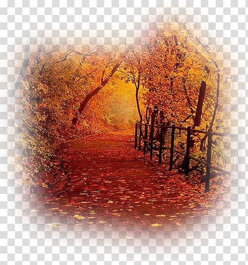 Autumn leaf color Tree Orange Landscape, autumn transparent background PNG clipart