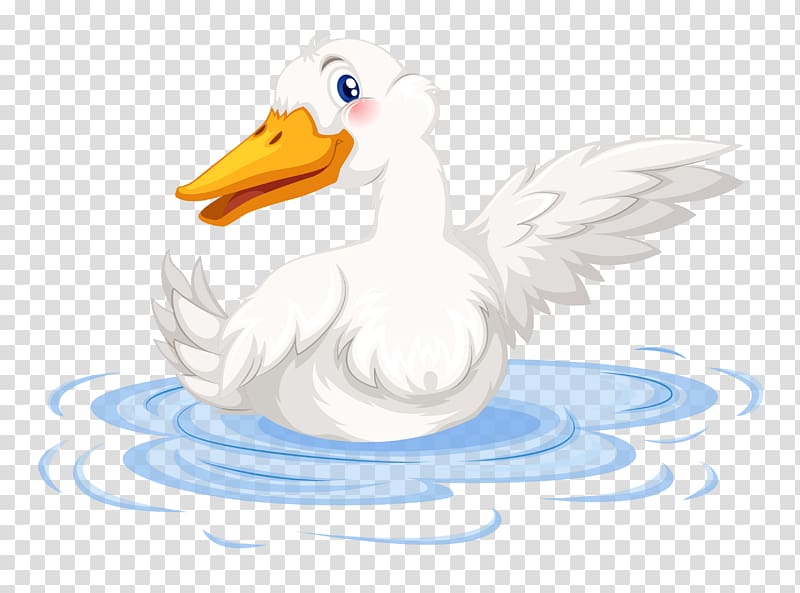 Duck Goose Illustration, Ducks transparent background PNG clipart