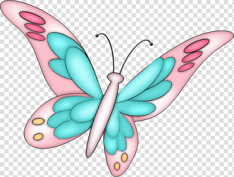 Butterfly , happy time transparent background PNG clipart