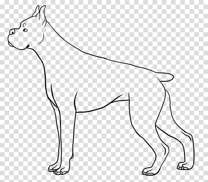 Boxer Line art Animal Drawing, boxer transparent background PNG clipart