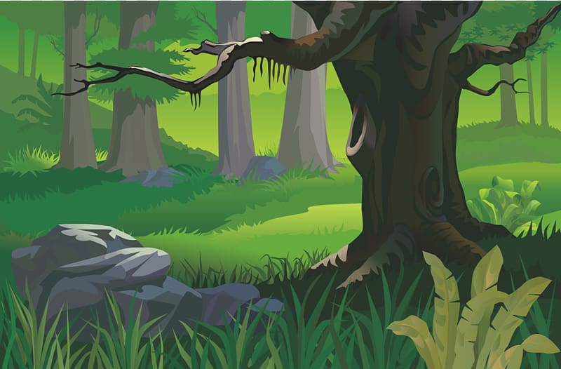 tree illustration, Forests transparent background PNG clipart