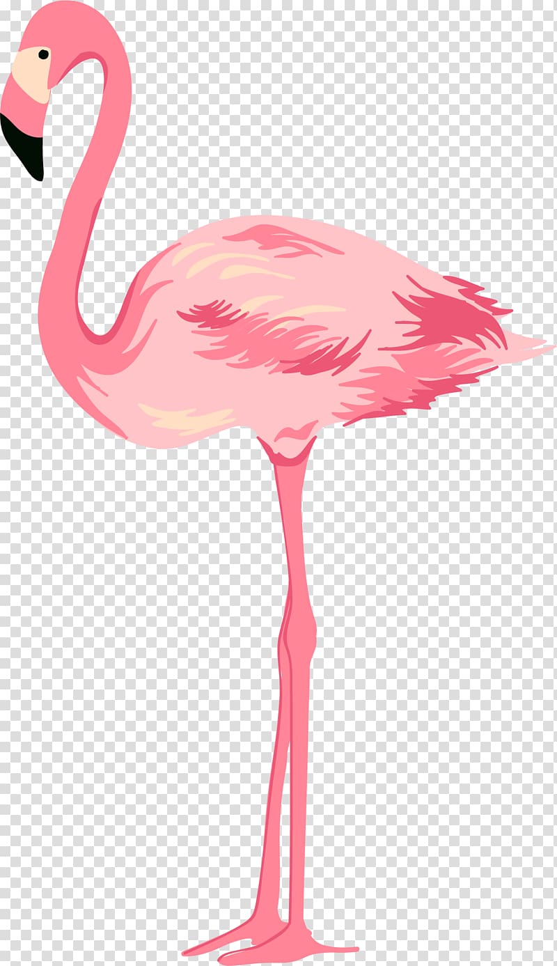 flamingo illustration, Cygnini Pink, Hand painted pink Swan transparent background PNG clipart