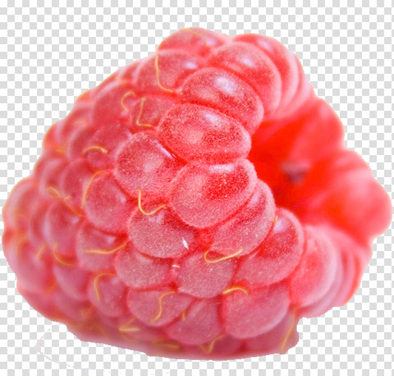 Red raspberry Fruit Auglis Mxfbre, Raspberry fruit transparent background PNG clipart