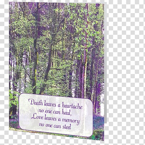 Union Wood Nature reserve Flora, Card Customisable transparent background PNG clipart