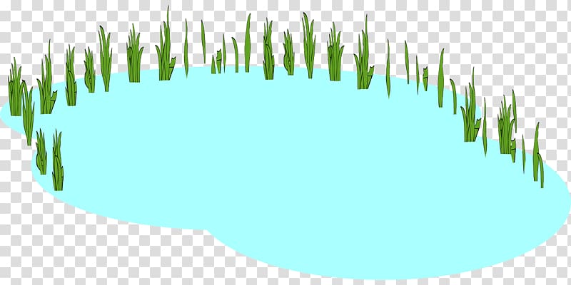 Pond Free content , Lily Pond transparent background PNG clipart