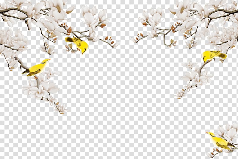 meticulous transparent background PNG clipart