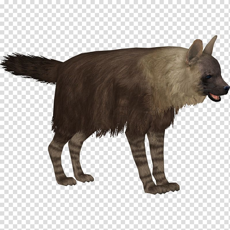Zoo Tycoon 2 Striped hyena African wild dog, hyena transparent background PNG clipart