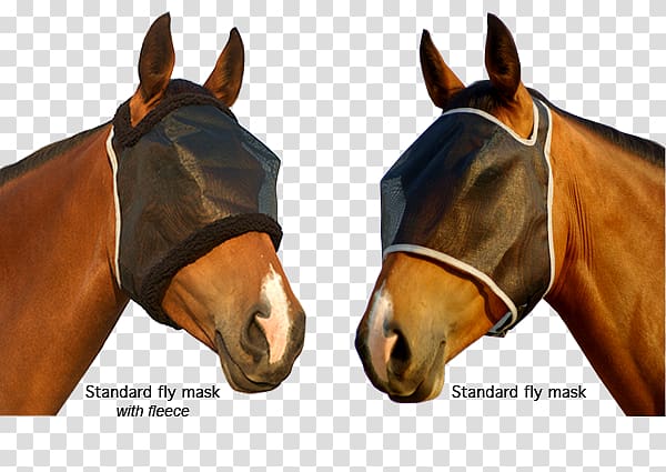 Halter Fly mask Stallion Mustang Mare, horse mask transparent background PNG clipart
