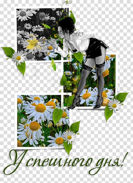 Gardener Le jardinier-maraîcher: manuel d'agriculture biologique sur petite surface Arrosage Cut flowers, Ligustrum transparent background PNG clipart