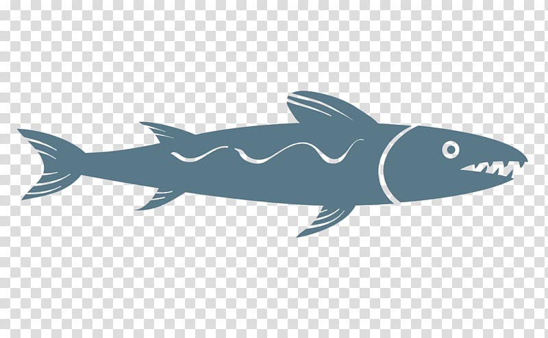 Requiem shark Cartoon, Sharks Cartoon Creative transparent background PNG clipart