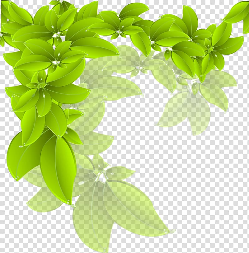 green leaves , Branch Green Leaf, leaves transparent background PNG clipart
