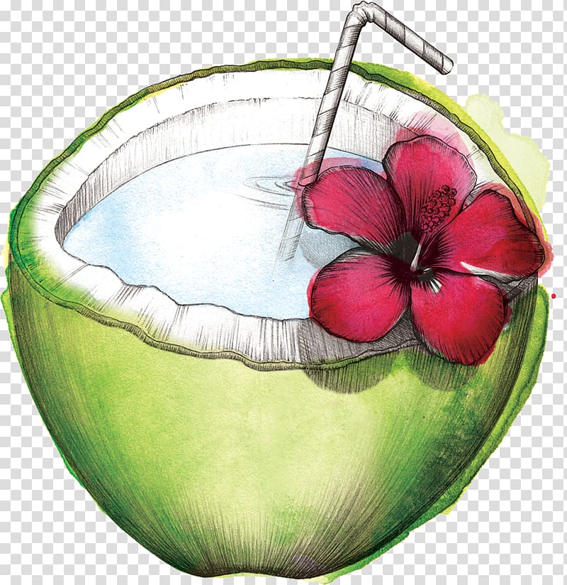 Watermelon Coconut water Still life , watermelon transparent background PNG clipart