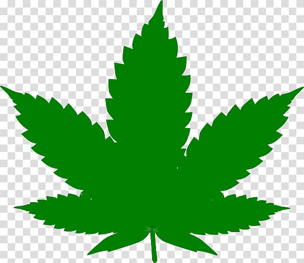 Cannabis sativa Leaf Hashish, cannabis transparent background PNG clipart