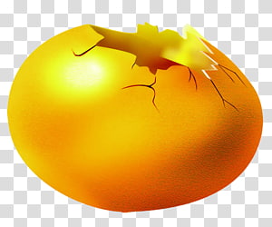 37,000+ Golden Egg PNG Images  Free Golden Egg Transparent PNG,Vector and  PSD Download - Pikbest