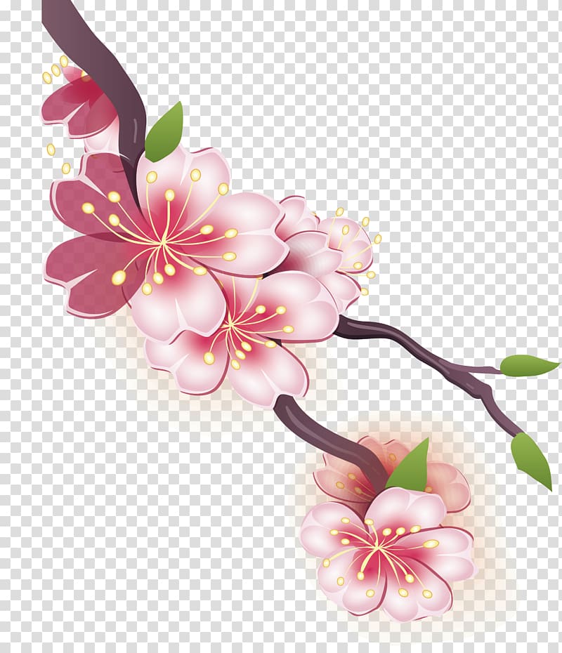 Cherry blossom Drawing Watercolor painting, Watercolor cherry blossom design transparent background PNG clipart