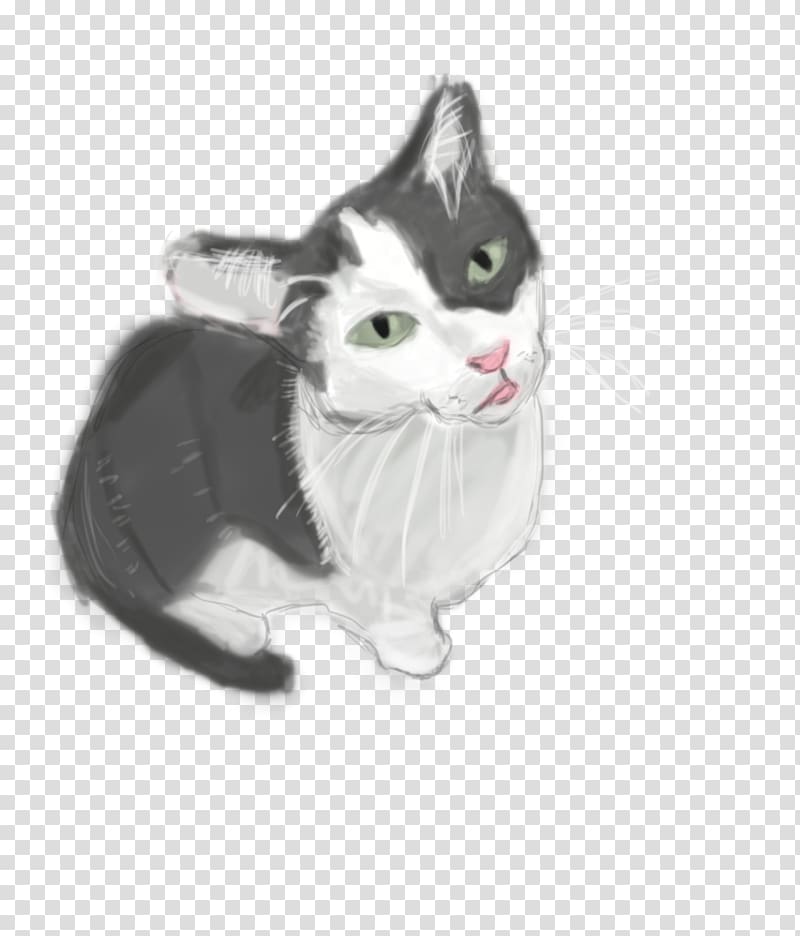 American Shorthair American Wirehair European shorthair Whiskers Domestic short-haired cat, kitten transparent background PNG clipart