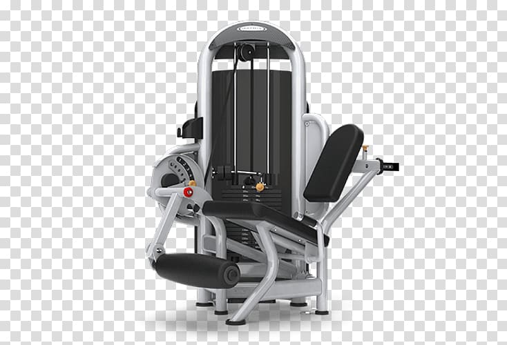 Leg extension Leg press Human leg Squat Muscle, others transparent background PNG clipart