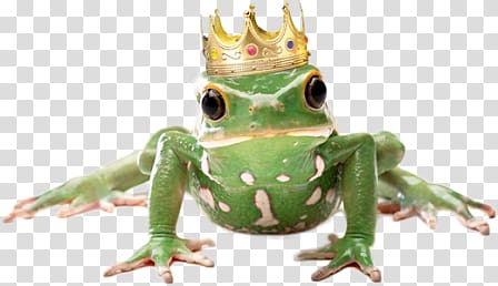 frog prince transparent background PNG clipart