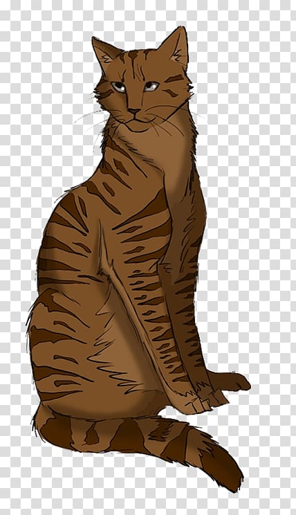 Warriors Long Shadows Whiskers Cat Erin Hunter, red tabby Cat transparent background PNG clipart