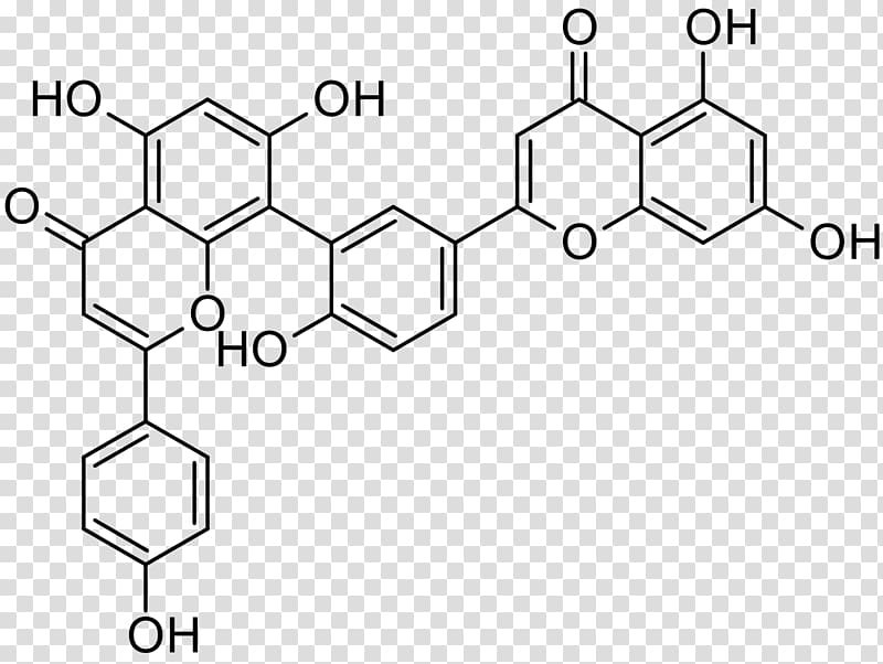 Iopamidol Radiocontrast agent Radiography Chemical substance, hypericum transparent background PNG clipart