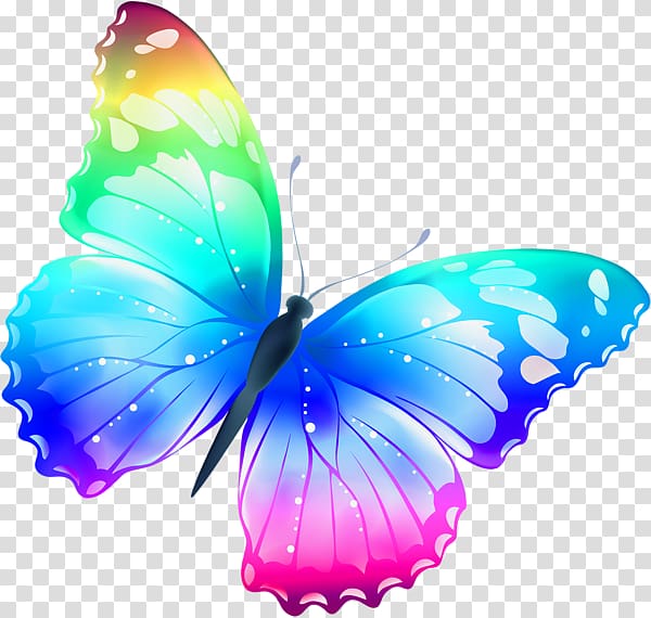 Butterfly , Colorful Butterfly transparent background PNG clipart