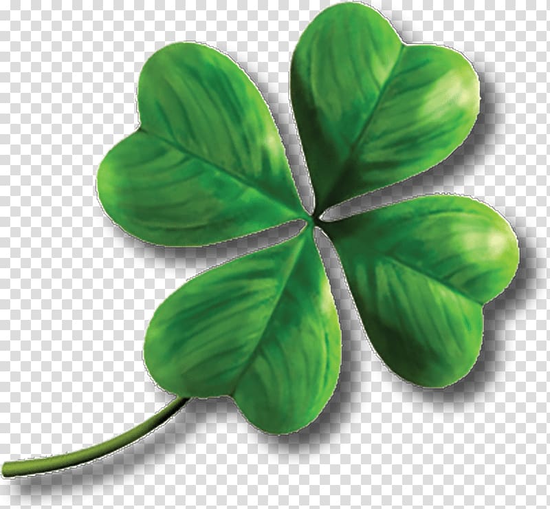 Clover Shamrock , clover transparent background PNG clipart