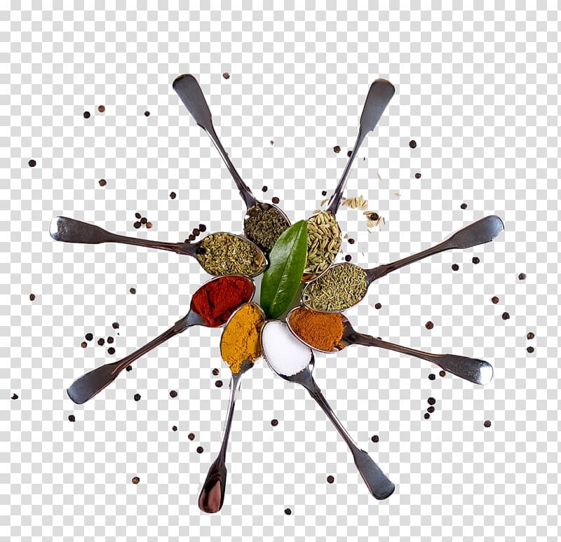 Flavor Spice Mem Saab Food Indian cuisine, spoon transparent background PNG clipart
