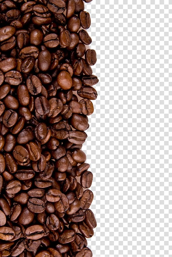 coffee beans, Coffee bean Cafe Iced coffee Instant coffee, Coffee beans transparent background PNG clipart