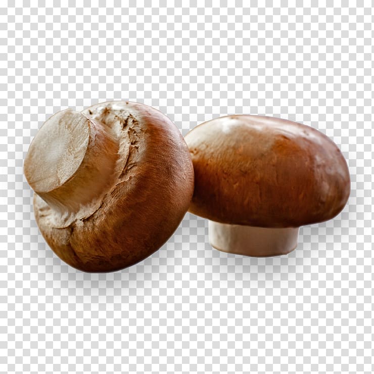 Common mushroom Edible mushroom Shiitake Oyster Mushroom, bok choy transparent background PNG clipart