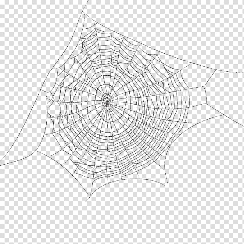 Spider Web Images  Free Photos, PNG Stickers, Wallpapers
