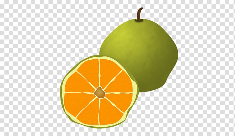 Ugli fruit Food Grapefruit Orange, fruit transparent background PNG clipart
