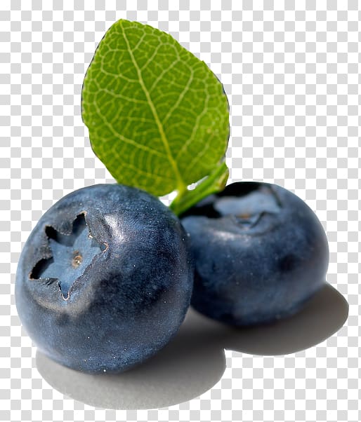 Bilberry Fruit European blueberry, others transparent background PNG clipart
